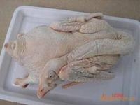 鵝肉